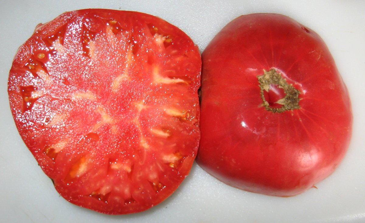 Семена томатов форум. Сорт томата 1884. Семена томата 1884. Томат Коломбо. Корсика томат.