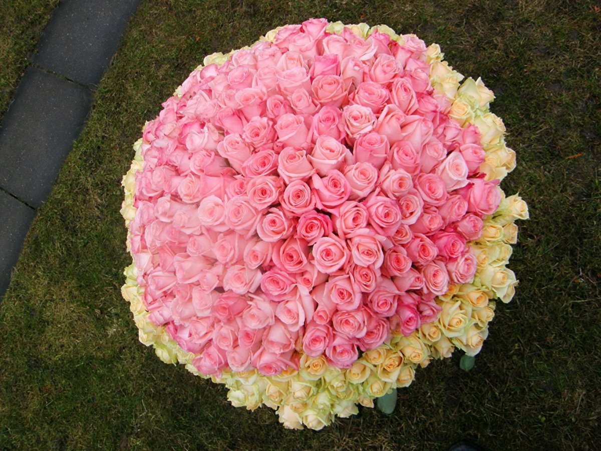 Красивые фото роз большие. Большие букеты цветов. Цветы огромный букет. Букет цветов шикарный огромный. Огромный красивый букет цветов.