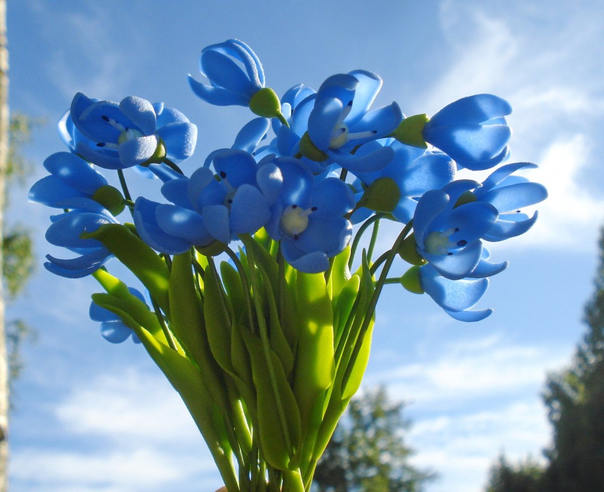 Букет цветов подснежники. Подснежник пролеска. Пролеска Сибирская Крокус. Голубые цветы подснежники. Пролеска цветок голубой.