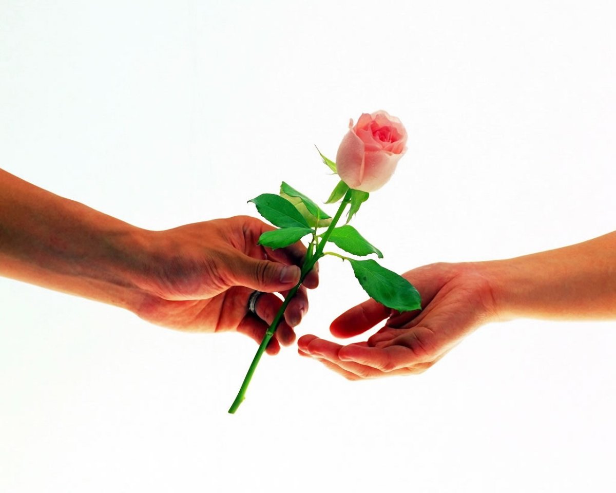 Цветок на руку.. Цветы в мужских руках. Цветы в протянутой руке. Рингтон дарите женщинам цветы без повода