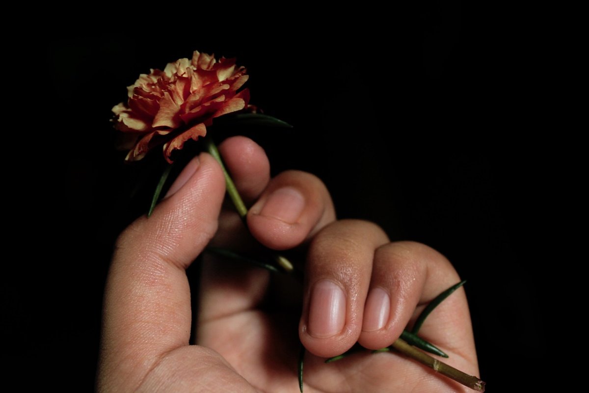 Цветок на руку.. Цветы в руках мужчины. Сломанные цветы. Букет цветов в руках.